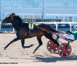 1 Digital Brodde, Johan Untersteiner | Jägersro 260421 Foto: Stefan Olsson