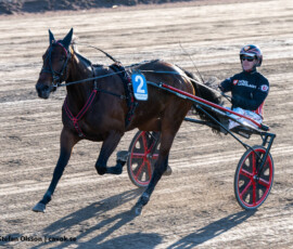 2 Cruiser - Johan Untersteiner | Jägersro 260429 Foto: Stefan Olsson