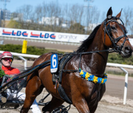2 Second Serve, Gustav Johansson | Jägersro 260421 Foto: Stefan Olsson
