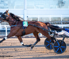 4 Keep Go Gaga - Britt Grift | Jägersro 260429 Foto: Stefan Olsson