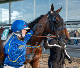 4 Keep Go Gaga - Britt Grift | Jägersro 260429 Foto: Stefan Olsson