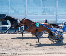4 Nikki Lane, Victor Rosleff | Jägersro 260421 Foto: Stefan Olsson