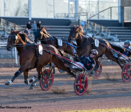 5 Alvena Roy - Johan Untersteiner | Jägersro 260429 Foto: Stefan Olsson