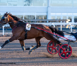 5 Alvena Roy - Johan Untersteiner | Jägersro 260429 Foto: Stefan Olsson