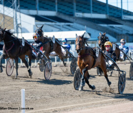 5 Madame, Gustav Johansson | Jägersro 260421 Foto: Stefan Olsson