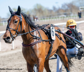5 Madame, Gustav Johansson | Jägersro 260421 Foto: Stefan Olsson