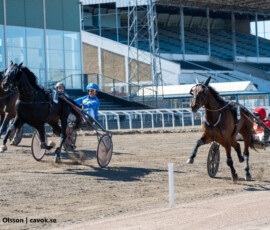 6 Crew Lane, Johan Untersteiner och Navigare, Adrian Kolgjini (dött lopp) | Jägersro 260421 Foto: Stefan Olsson
