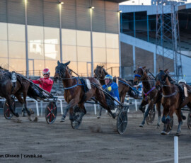 6 Revanche Boko - Erwin Bot | Jägersro 260429 Foto: Stefan Olsson