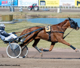 7 Just Joking, Bernardo Grasso | Jägersro 260421 Foto: Stefan Olsson