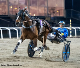 8 Presley Boko - Michel F Rothengatter | Jägersro 260429 Foto: Stefan Olsson