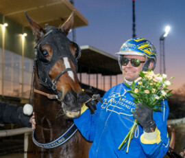 8 Presley Boko - Michel F Rothengatter | Jägersro 260429 Foto: Stefan Olsson