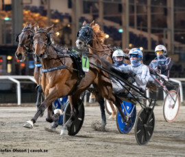 9 Radinka Vrijthout - Danny Brouwer | Jägersro 260429 Foto: Stefan Olsson