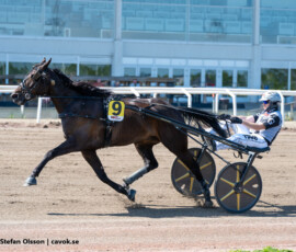 01 Borups Chaplin - Bernardo Grasso | Jägersro 260523 Foto: Stefan Olsson