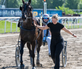 01 Borups Chaplin - Bernardo Grasso | Jägersro 260523 Foto: Stefan Olsson