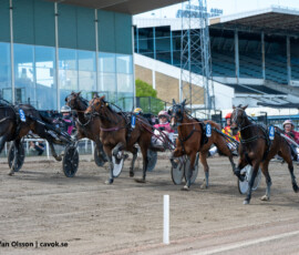02 Evita A. o Henriette Larsen | Jägersro 260514 Foto: Stefan Olsson