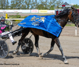 02 Evita A. o Henriette Larsen | Jägersro 260514 Foto: Stefan Olsson