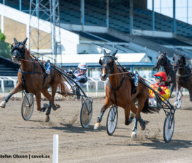 02 Moni Lane o Stefan Persson | Jägersro 260526 Foto: Stefan Olsson