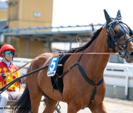 02 Moni Lane o Stefan Persson | Jägersro 260526 Foto: Stefan Olsson