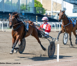 02 Silpinge Scarlet - Viktor Blücher | Jägersro 260523 Foto: Stefan Olsson