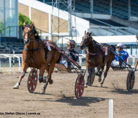 03 Format Kronos o Johan Untersteiner | Jägersro 260526 Foto: Stefan Olsson