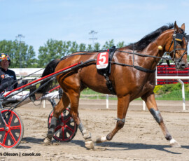 03 Format Kronos o Johan Untersteiner | Jägersro 260526 Foto: Stefan Olsson