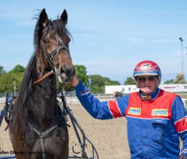 03 Global Expensive - Bengt A Nilsson | Jägersro 260523 Foto: Stefan Olsson