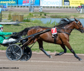 03 Logima Connancy o Rene Kjaer | Jägersro 260514 Foto: Stefan Olsson