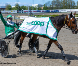 03 Logima Connancy o Rene Kjaer | Jägersro 260514 Foto: Stefan Olsson