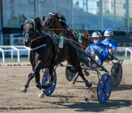 04 Hobitten Shadow - Iivari Nurminen | Jägersro 260523 Foto: Stefan Olsson