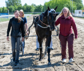 04 Hobitten Shadow | Jägersro 260523 Foto: Stefan Olsson