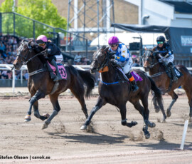 04 Roberts Son B.B. o Emilia Leo | Jägersro 260514 Foto: Stefan Olsson
