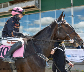 04 Roberts Son B.B. o Emilia Leo | Jägersro 260514 Foto: Stefan Olsson