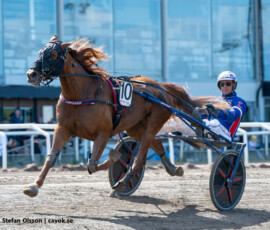 05 Anna K.J. o Joakim Lövgren | Jägersro 260514 Foto: Stefan Olsson