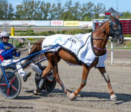 05 Anna K.J. o Joakim Lövgren | Jägersro 260514 Foto: Stefan Olsson