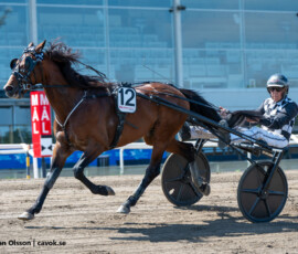 05 Even Steven - Axel Jacobsen | Jägersro 260523 Foto: Stefan Olsson