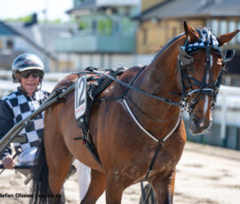 05 Even Steven - Axel Jacobsen | Jägersro 260523 Foto: Stefan Olsson