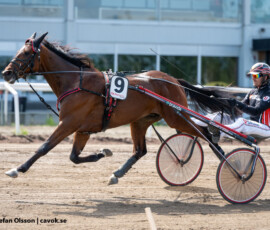 05 Global Giant o Johan Untersteiner | Jägersro 260526 Foto: Stefan Olsson