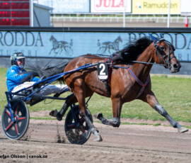 06 Graffiti Brodda o Tyler Mifsud | Jägersro 260514 Foto: Stefan Olsson