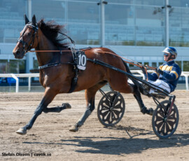 06 Largo Winch - Max Säker Lysell | Jägersro 260523 Foto: Stefan Olsson