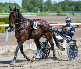 06 Largo Winch - Max Säker Lysell | Jägersro 260523 Foto: Stefan Olsson