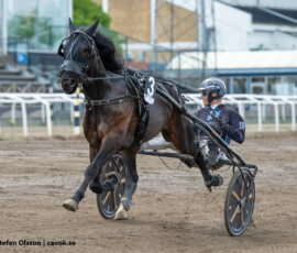06 Magic Park o Stefan Persson | Jägersro 260526 Foto: Stefan Olsson