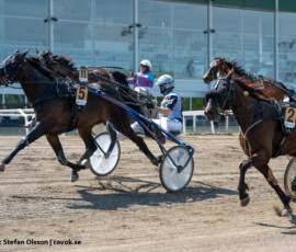 07 Global Hippie - Bernardo Grasso | Jägersro 260523 Foto: Stefan Olsson