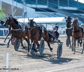 07 In the Wind Gar o Robin Bakker | Jägersro 260514 Foto: Stefan Olsson