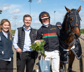 07 In the Wind Gar | Jägersro 260514 Foto: Stefan Olsson