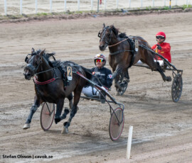 07 ThunderboltVictory o Johan Untersteiner | Jägersro 260526 Foto: Stefan Olsson
