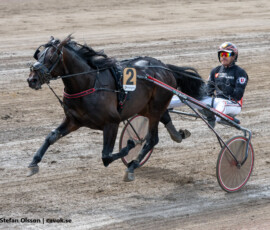 07 ThunderboltVictory o Johan Untersteiner | Jägersro 260526 Foto: Stefan Olsson