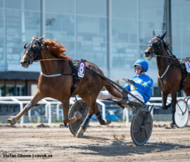 08 John Carpenter - Max Säker Lysell | Jägersro 260523 Foto: Stefan Olsson