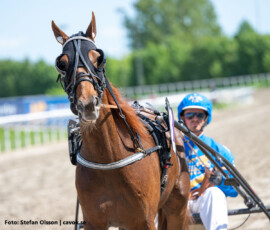 08 John Carpenter - Max Säker Lysell | Jägersro 260523 Foto: Stefan Olsson