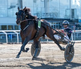 09 Gomari o Adrian Kolgjini | Jägersro 260514 Foto: Stefan Olsson