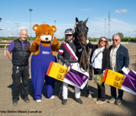 09 Gomari | Jägersro 260514 Foto: Stefan Olsson